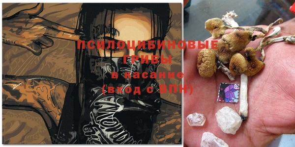 дурь Горнозаводск
